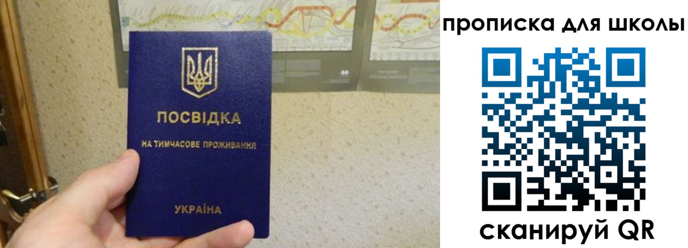 найти адрес прописки в Тавде